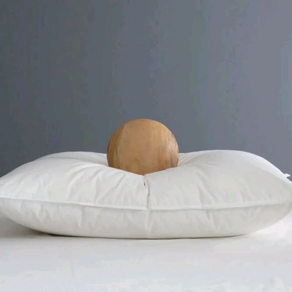 NWOT- Quince Standard White Duck Down Premium Pillow (Soft)(P40)